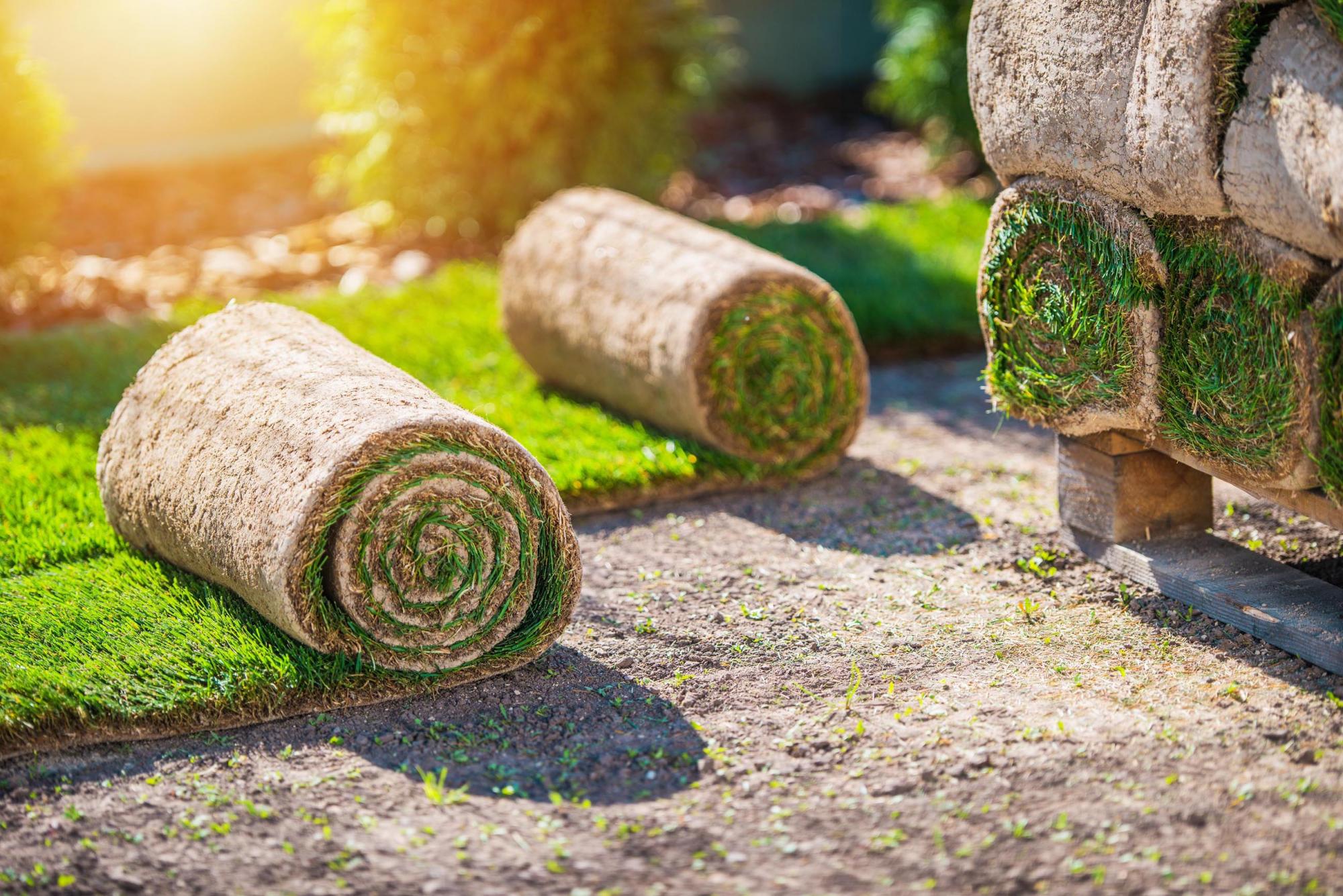 Jardinage expert en Gironde