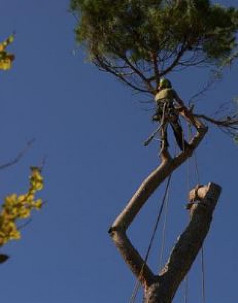 intervention sécurisée