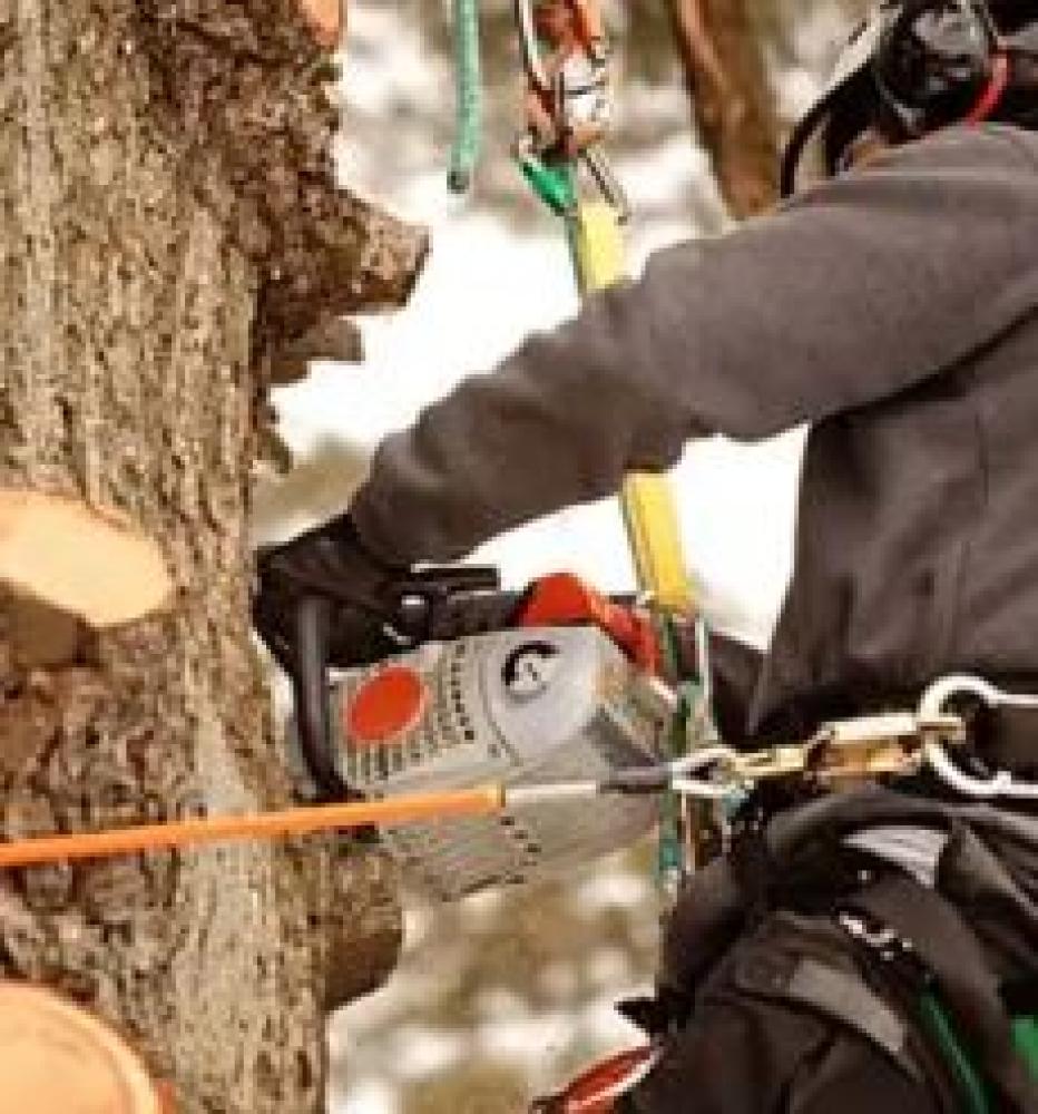 METBACH Manuel pour l’élagage d’arbre en Seine-et-Marne