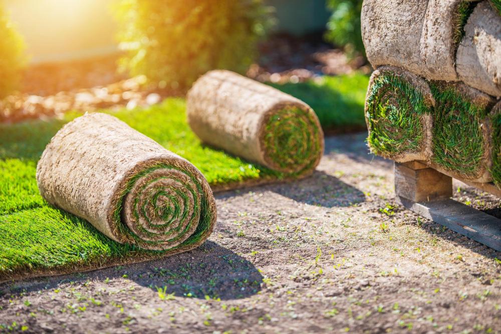 Jardinage expert en Gironde