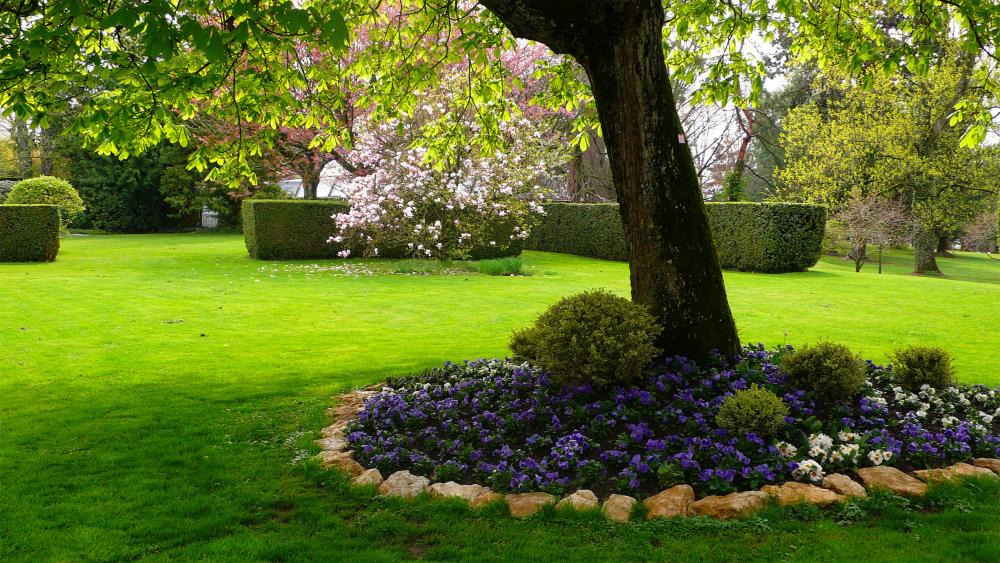 Jardin florissant en Gironde