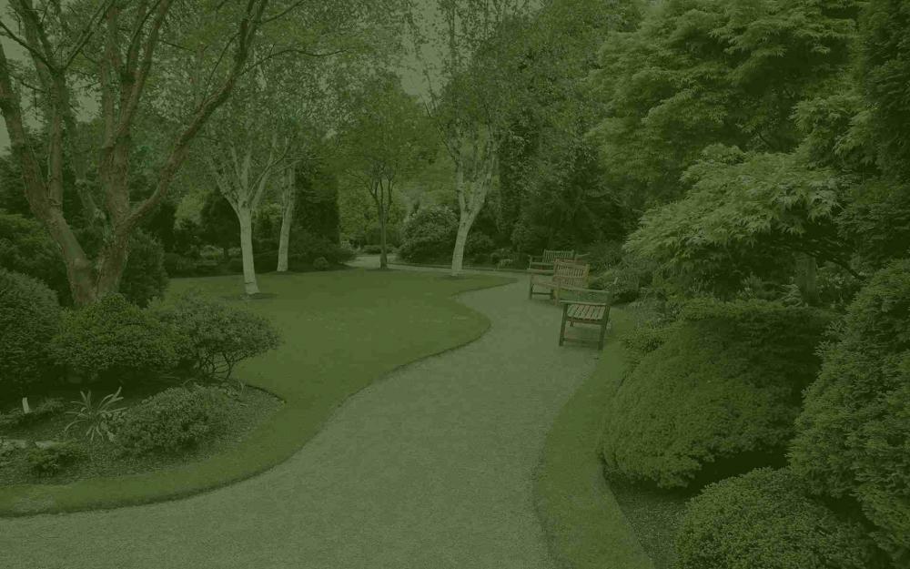 Artisan paysagiste du Gard